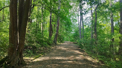 Path of Health — fotografia 4