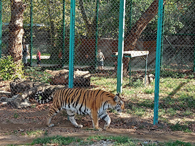 Zoo Pazardzhik — fotografia 4