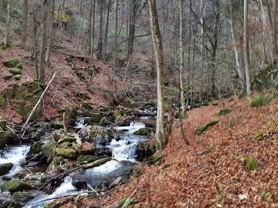Bistriški vintgar