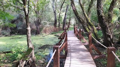 Educational trail - Oborín