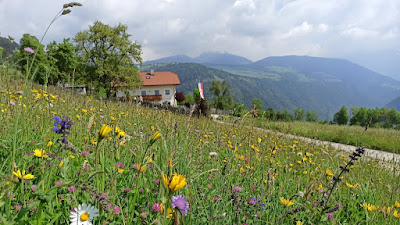Hofschänke "Ban Erschbama" — fotografia 4