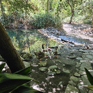 La Fabriquilla — fotografia 5