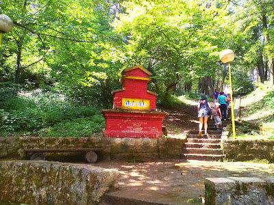 Borići — fotografia 4