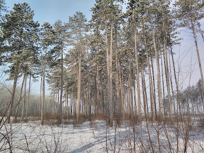 Subotica Sands — fotografia 4