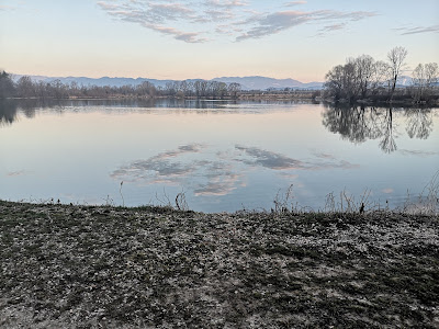 Ribnik Vrbje — fotografia 5