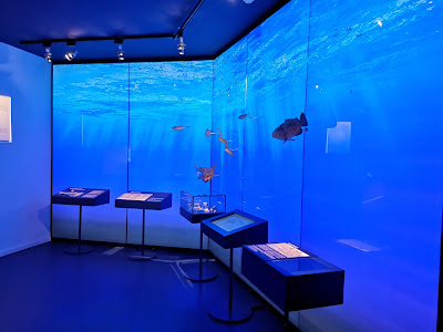 Museum of the village of Nerja — fotografia 3