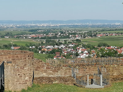 Neuleiningen Castle — fotografia 4