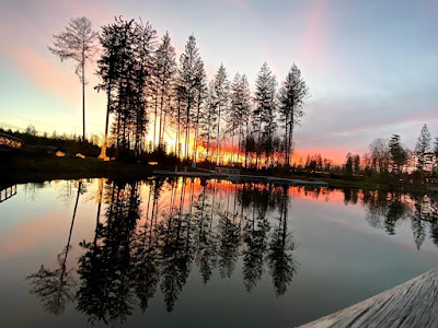 Aqua Mundo Allgäu — fotografia 5