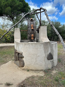 Parco Museo "S'abba frisca" — fotografia 5