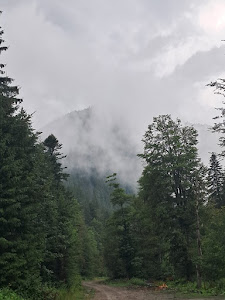 Camping Scorila — fotografia 5
