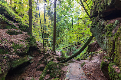 Massendorfer Schlucht