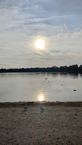 Salzgittersee
