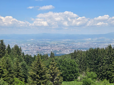 Panoramic Viewpoint