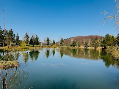 Ribnik Blato