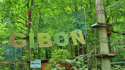 Rope Park Rewal Gibbon — fotografia 2