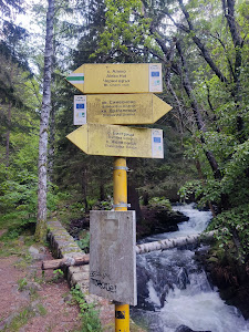Panorama Walk - Bistritsa to Zheleznitsa — fotografia 5