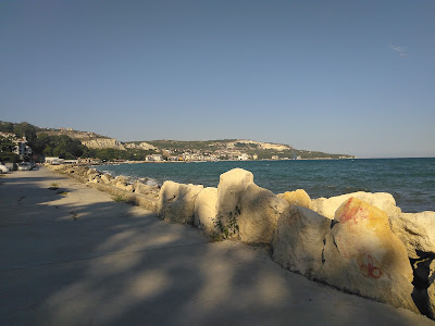 Panoramic View