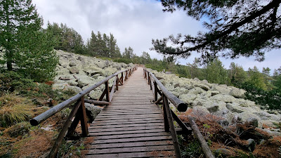 Podurile de Aur — fotografia 3