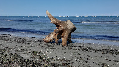 Spiaggia di Ca' Roman — fotografia 5