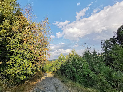 Zheleznitsa-Cherni Vrah-Aleko hut Trailhead