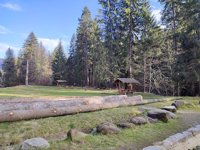 Cascada Valea Zânelor — fotografia 5