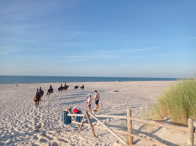 Plaża 30 - Wierzchucino