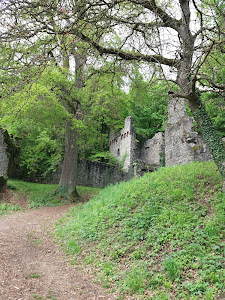 Burg Rodenstein — fotografia 3