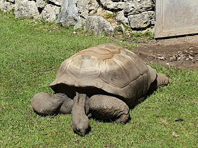 Grădina Zoologică Hellabrunn — fotografia 4