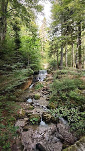 Cascada Regelui