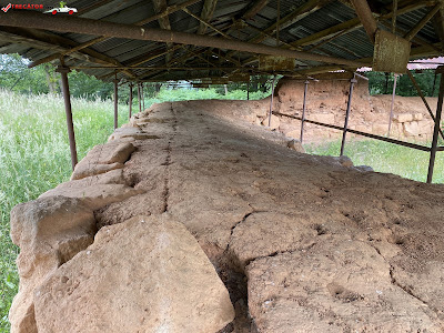 Cetatea Dacică Costești — fotografia 4