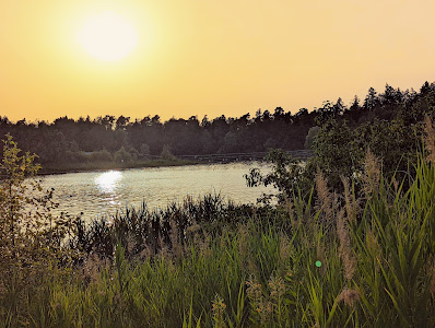 Lußhardtsee — fotografia 5