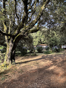 Agricampeggio Elighes Uttiosos — fotografia 4