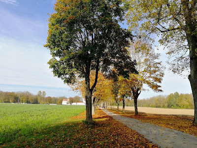 Schloss Grünau — fotografia 5