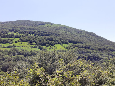 Pod Kamiko Trail — fotografia 5