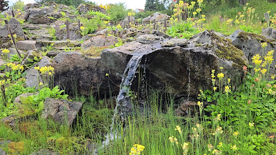 Arctic–Alpine Botanic Garden — fotografia 2