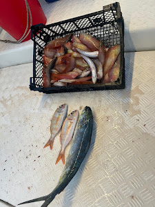 Eva Fishing Trip – Rethymno- Panormo! — fotografia 4