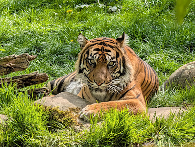 Zoo Augsburg — fotografia 4
