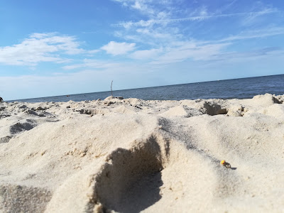 Plaża Rozewie — fotografia 5