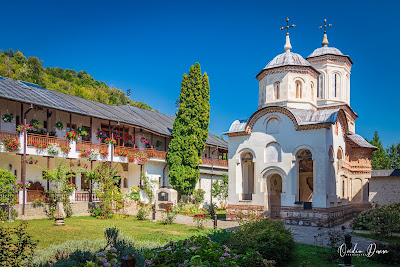 Mănăstirea Arnota — fotografia 3