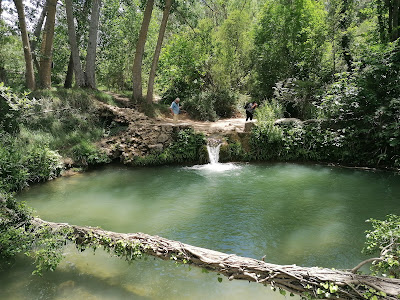 Área recreativa Molí L'Ombria — fotografia 4