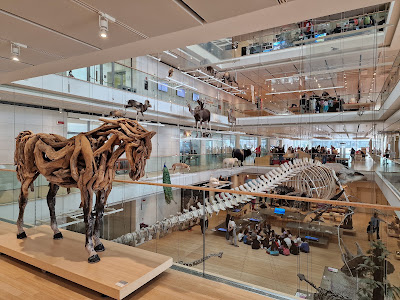 MUSE - Science Museum — fotografia 5