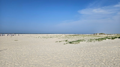 Strand Oase — fotografia 5