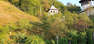 Mănăstirea Crișan — fotografia 2