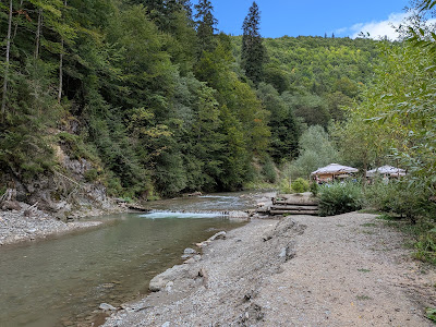 Staţia Paltin CFF Mocăniță — fotografia 4