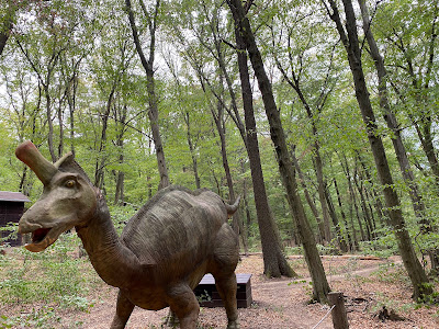 Budakeszi Wildlife Park — fotografia 5