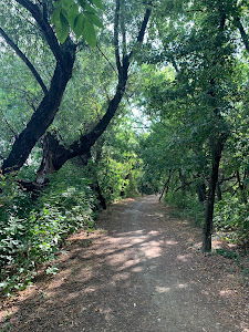 Rotary Nature Trail — fotografia 3