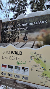 Tier-Freigelände im Nationalparkzentrum Lusen — fotografia 2