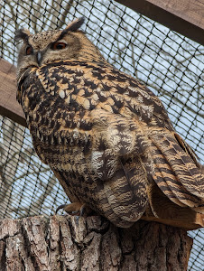 Wild Park Wernigerode Christianental — fotografia 5