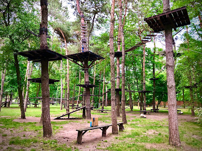 Parcul de Aventură Comana — fotografia 3