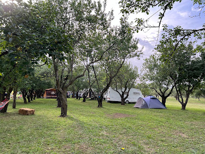 La Ferma Homorâciu — fotografia 5